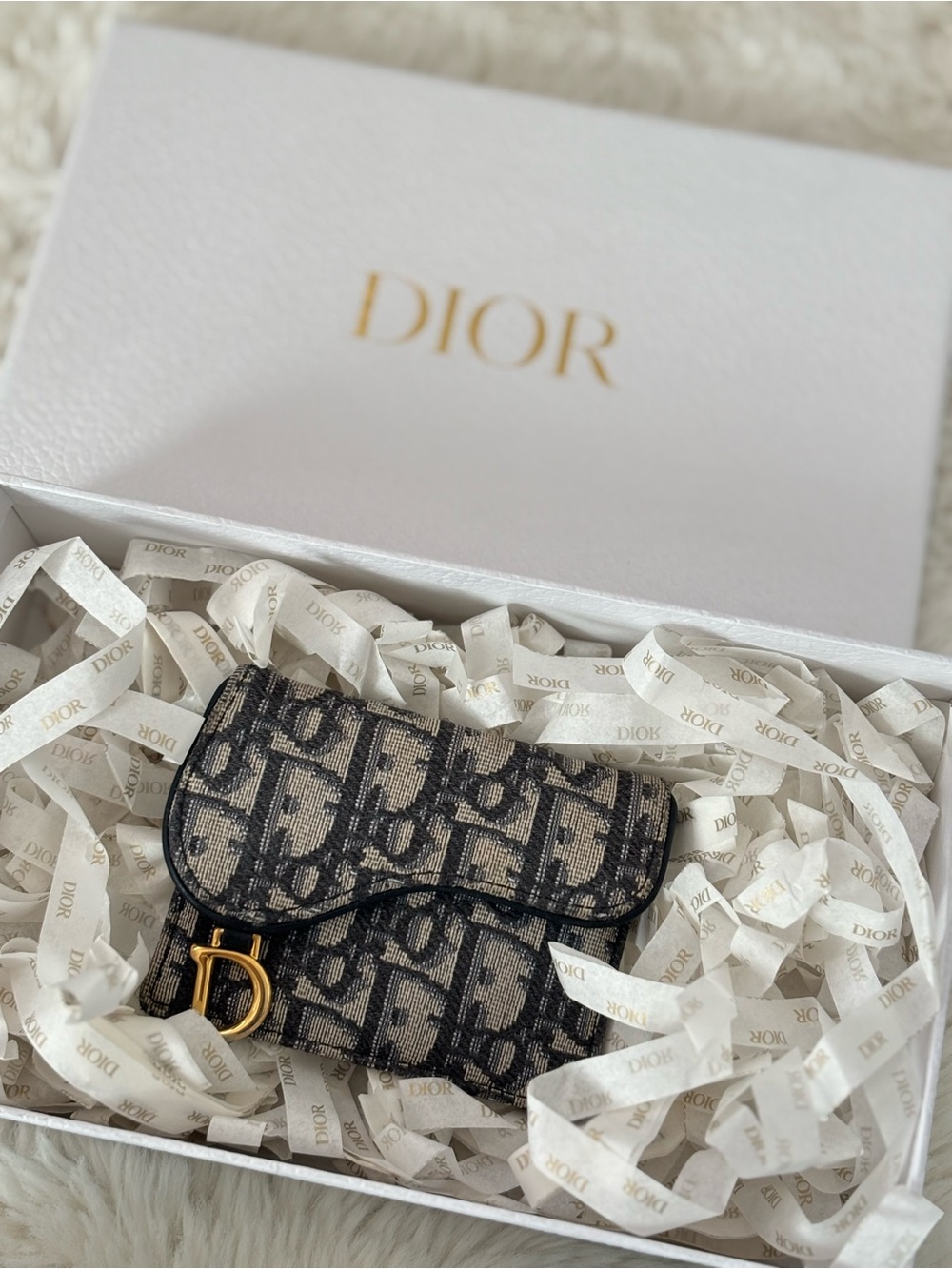 Dior Saddle Card Holder Wallet